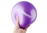М'яч для пілатеса EasyFit 25 см фіолетовий 1547 фото