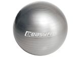 М'яч для фітнеса EasyFit 65 см сірий 1464 фото