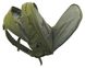 Рюкзак тактичний CATTARA 30L OLIVE 13868 Зелений 1700747230 фото 6